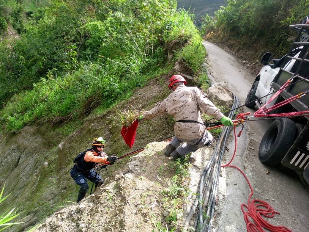 Diario Frontera, Frontera Digital,  Mocoties, ,Alcaldía de Zea impulsa recuperación ambiental en San Agustín con siembra estratégica en zonas de riesgo