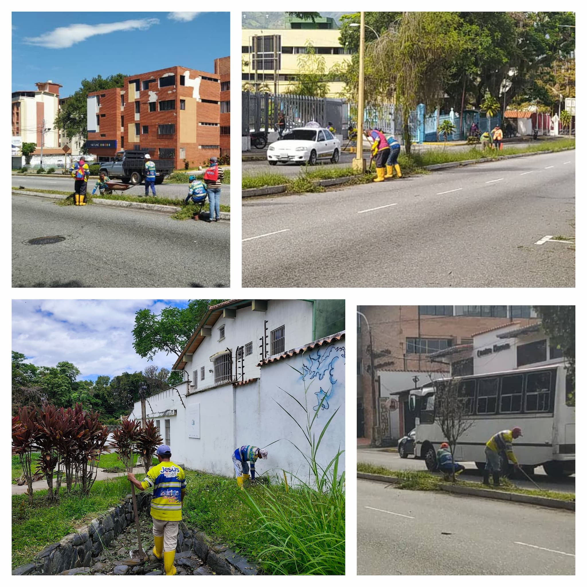 Diario Frontera, Frontera Digital,  Regionales, ,Alcalde Nelson Álvarez intensifica trabajos de desmalezamiento y limpieza de la ciudad