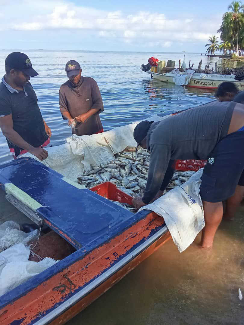Diario Frontera, Frontera Digital,  El Vigía Panamericana, ,MinPesca Mérida verificó producción pesquera en el Puerto de Palmarito