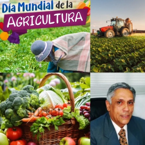  Opinión, 