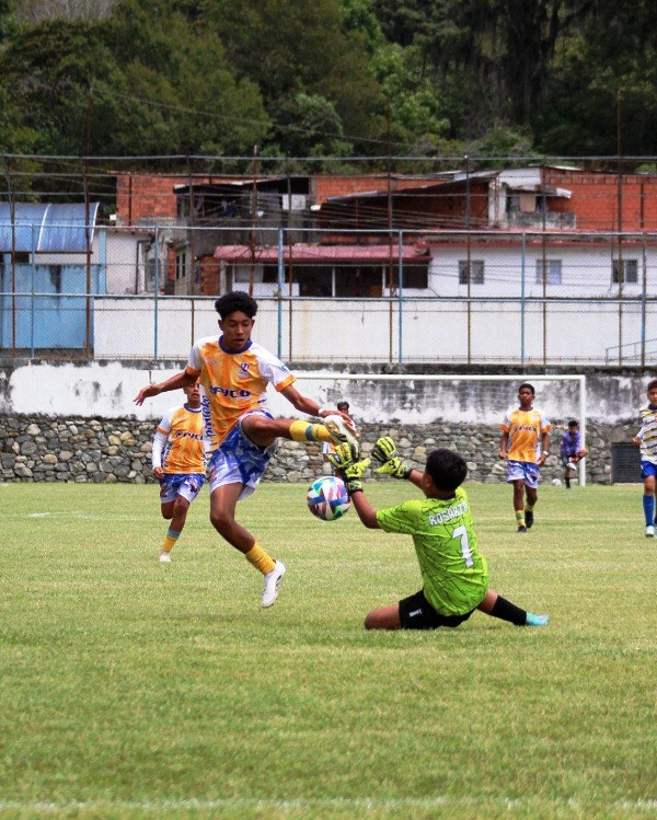 Diario Frontera, Frontera Digital,  Deportes, ,Goles y muchas emociones en la jornada 1 de la Liga Elite Juvenil