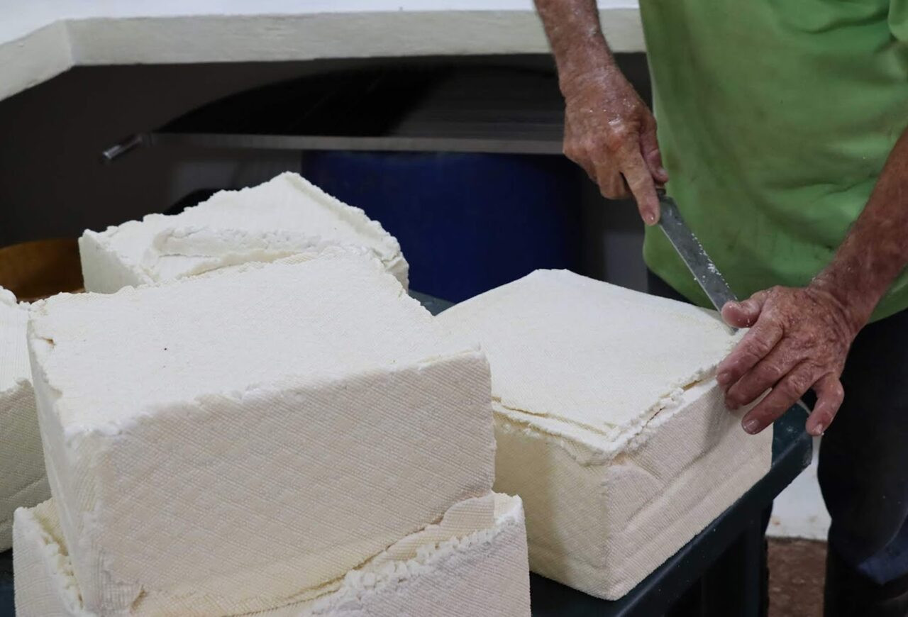Diario Frontera, Frontera Digital,  Nacionales, ,Inundaciones en Portuguesa ponen en riesgo el abastecimiento de queso y leche en el país
