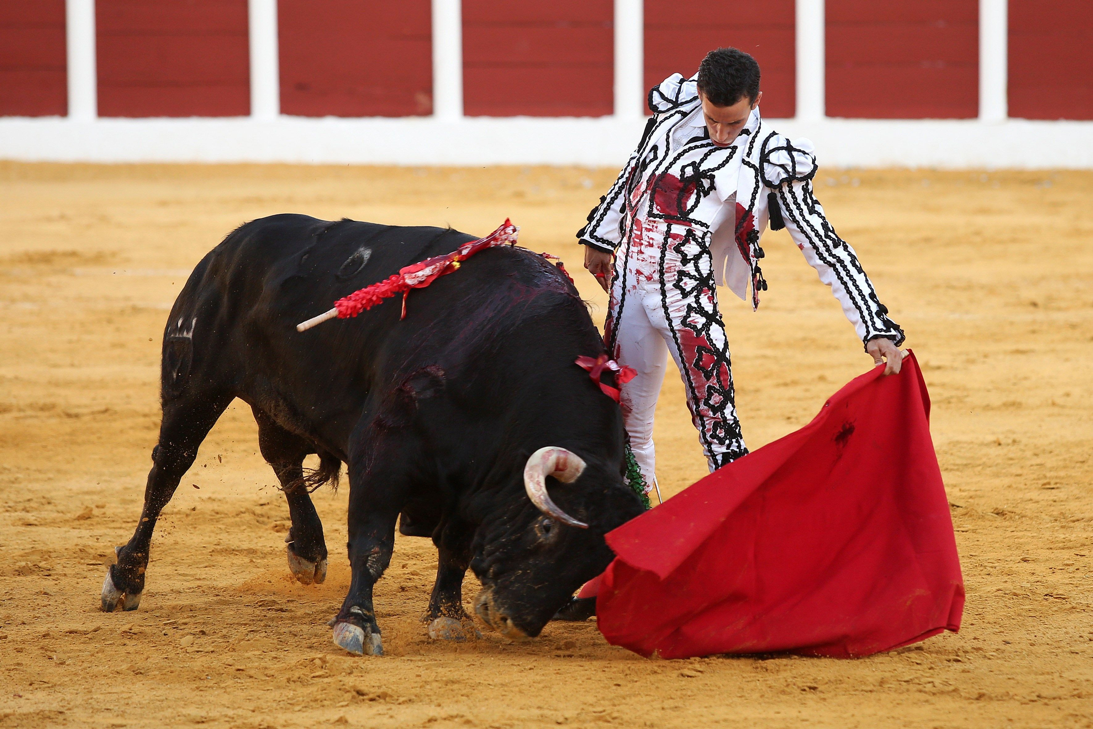 Diario Frontera, Frontera Digital,  Entretenimiento, Regionales, ,De Miranda hace el toreo soñado, acompañándole “Colombo” 
con la contundencia de su espada