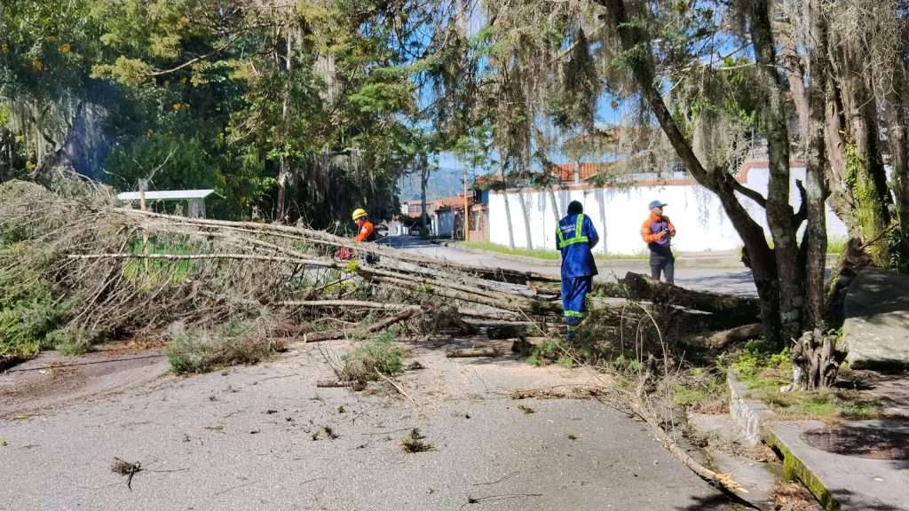 Diario Frontera, Frontera Digital,  Regionales, ,Desbordamiento de ríos y quebradas afectó viviendas y vías en Tabay y Mérida