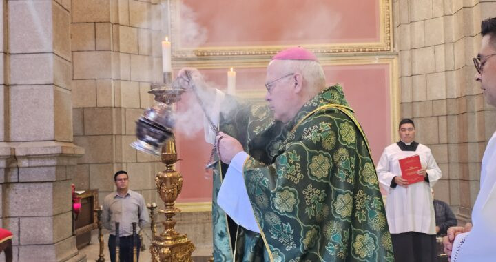 Diario Frontera, Frontera Digital,  Regionales, ,El nuncio apostólico concluyó su visita pastoral con una multitudinaria misa en la Catedral de Mérida