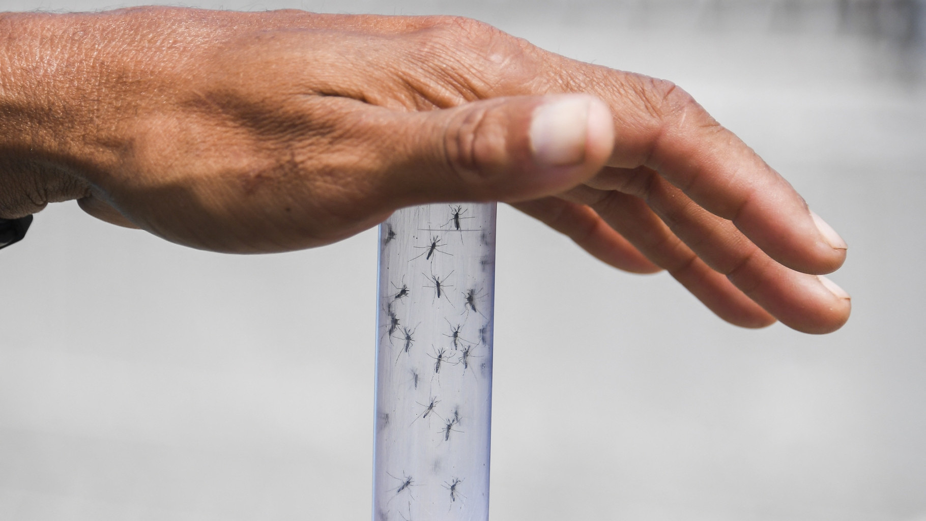 https://fronteradigital.com.ve/Ministerio de Salud declara alerta sanitaria nacional por efectos del fenómeno El Niño