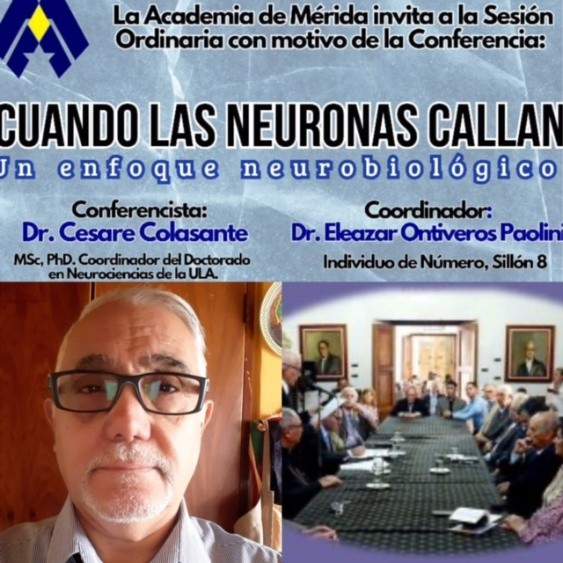  Opinión, 
