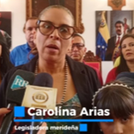 Diario Frontera, Frontera Digital,  Mocoties, ,Acuerdo en Bailadores: Comunidad no permitirá que continúe la tala en la zona alta.