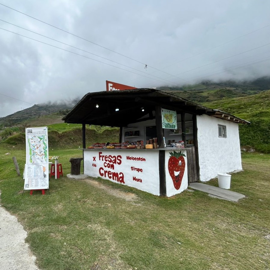 Diario Frontera, Frontera Digital,  Páramo, ,En este punto de Semana Santa confluyen diversas organizaciones y colectivos que forman parte activa de esta red: Geografía Viva, @casascreativas_, Huertas y Mesas del Río Santo Domingo, el Distrito Cultural Manuel Mujica Millán, así como emprendimientos locales y productores agrícolas de la zona,“Huertas y Mesas del Río Santo Domingo” se despliega en Semana Santa 
con un punto de información y venta en la Carretera Nacional Barinas – Mérida