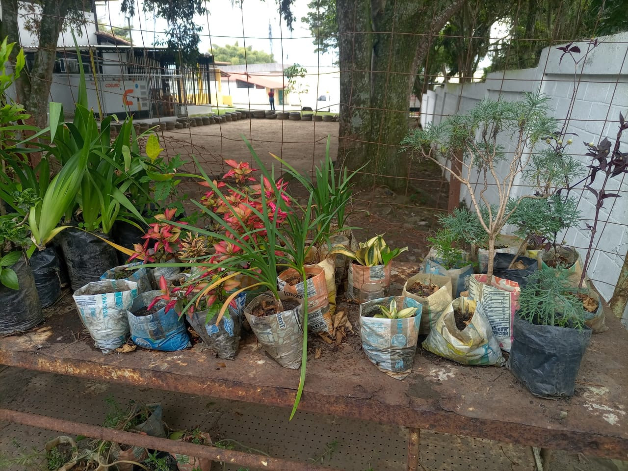 Diario Frontera, Frontera Digital,  Regionales, ,Alcaldía de Libertador impulsa reforestación de cuencas locales