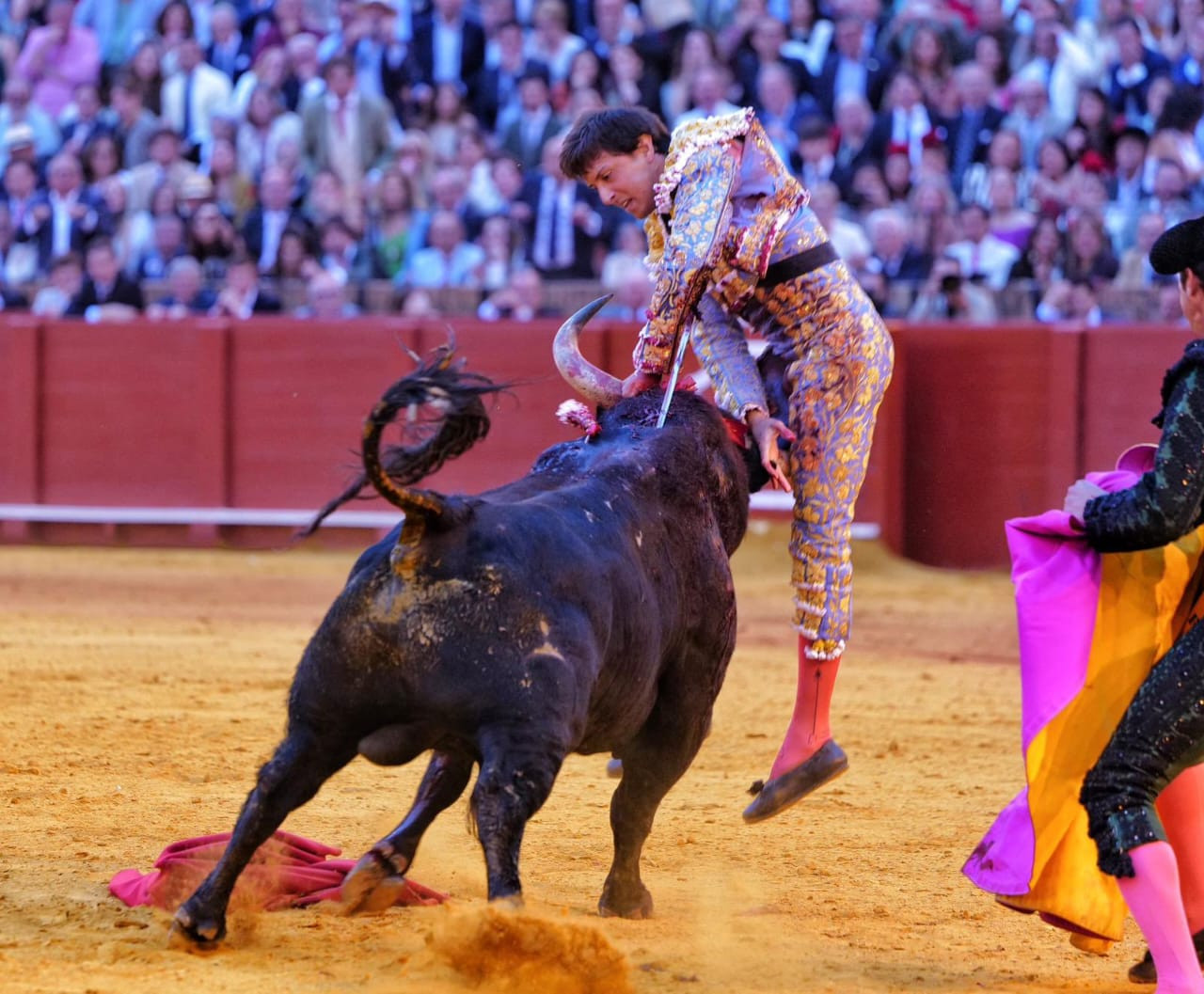 Diario Frontera, Frontera Digital,  Entretenimiento, ,Cornada fortísima la del espada limeño Roca Rey, en una de las tardes de más emoción del recién culminado ciclo sevillano. Foto: Arjona,“Morante de la Puebla” quiere volver a entrenar la semana que viene