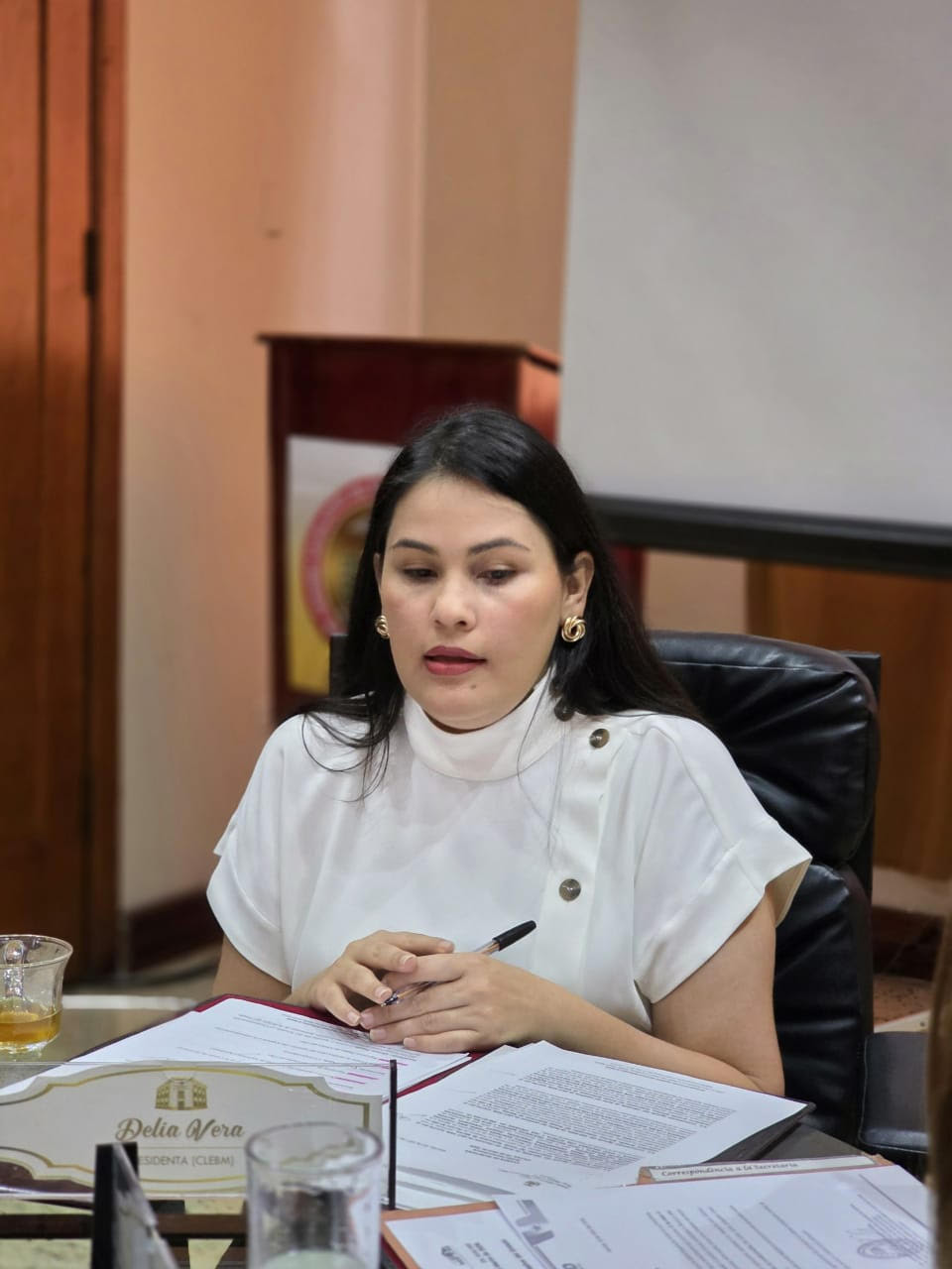 Diario Frontera, Frontera Digital,  Politica, Regionales, ,Vera anunció, que este domingo 26  abril se realizará un acto especial, a propósito del  Quincuagésimo aniversario de la fundación del Instituto Autónomo de la Policía del Estado Bolivariano de Mérida,‎Consejo Legislativo de Mérida aprobó varios proyectos presupuestarios 
en sesión extraordinaria
‎