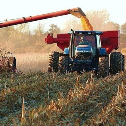 Diario Frontera, Frontera Digital,  Nacionales, ,Productores agrícolas en Venezuela exigen «mismo nivel» de atención que petróleo y minería