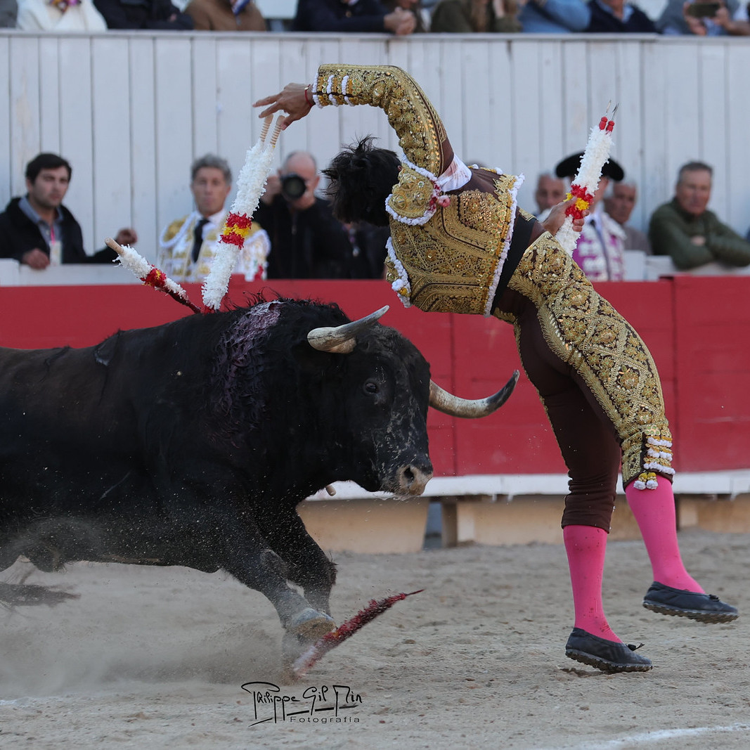 Frontera Digital, Diario Frontera, “Colombo” torea esta tarde en Aguascalientes