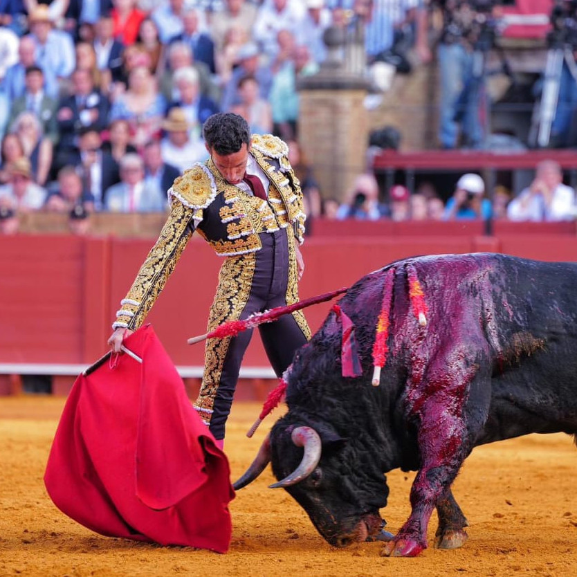 Frontera Digital,  Entretenimiento,  David de Miranda saca la escoba: otra vez Príncipe en Sevilla