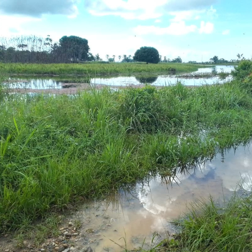 Frontera Digital,  Mocoties,  Alcaldía de Zea evalúa situación de laguna en Casa Blanca para prevenir riesgos viales