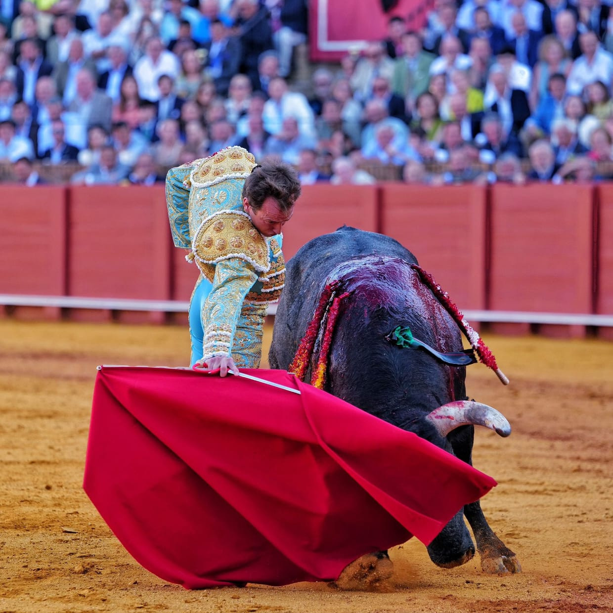 Frontera Digital,  Entretenimiento,  Un gran «Lamparillo» en una miurada con muchos perejiles