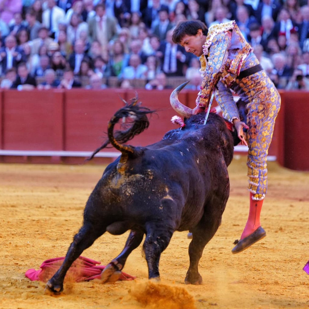 Frontera Digital, Diario Frontera, “Morante de la Puebla” quiere volver a entrenar la semana que viene