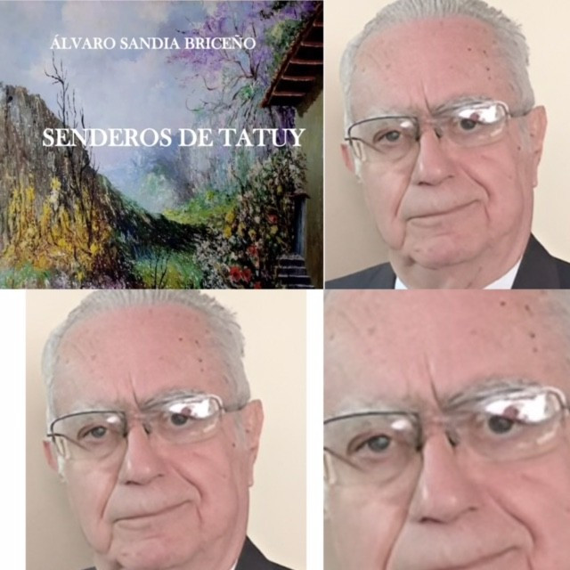 Opinión,