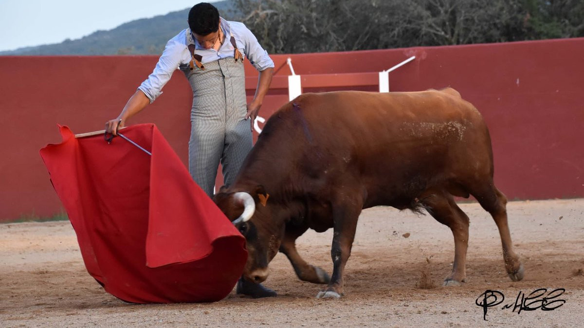https://fronteradigital.com.ve/Este domingo en festival sin picadores actúa el matador José David Cadavid