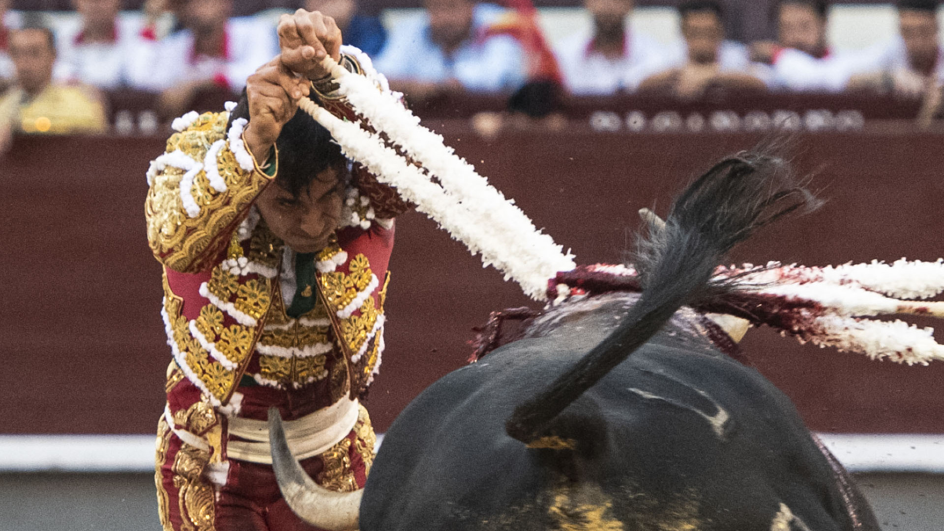 https://fronteradigital.com.ve/Una tarde muy rica en Las Ventas, tres toros de nota y un torero necesario: Ismael Martín