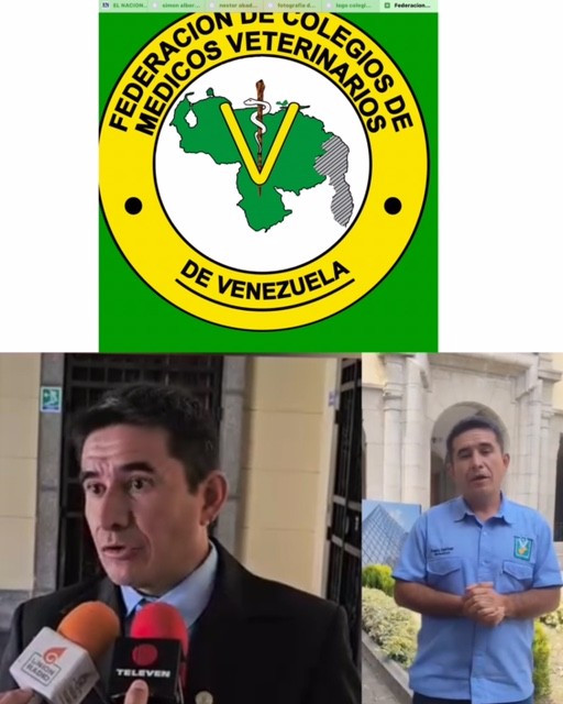 Opinión,