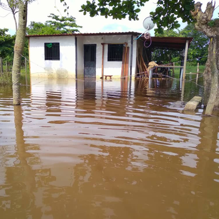 Frontera Digital,  Nacionales,  Portuguesa: Otra vez inundados barrios del sur y suroeste de Guanarito por crecida del caño Potrerito
