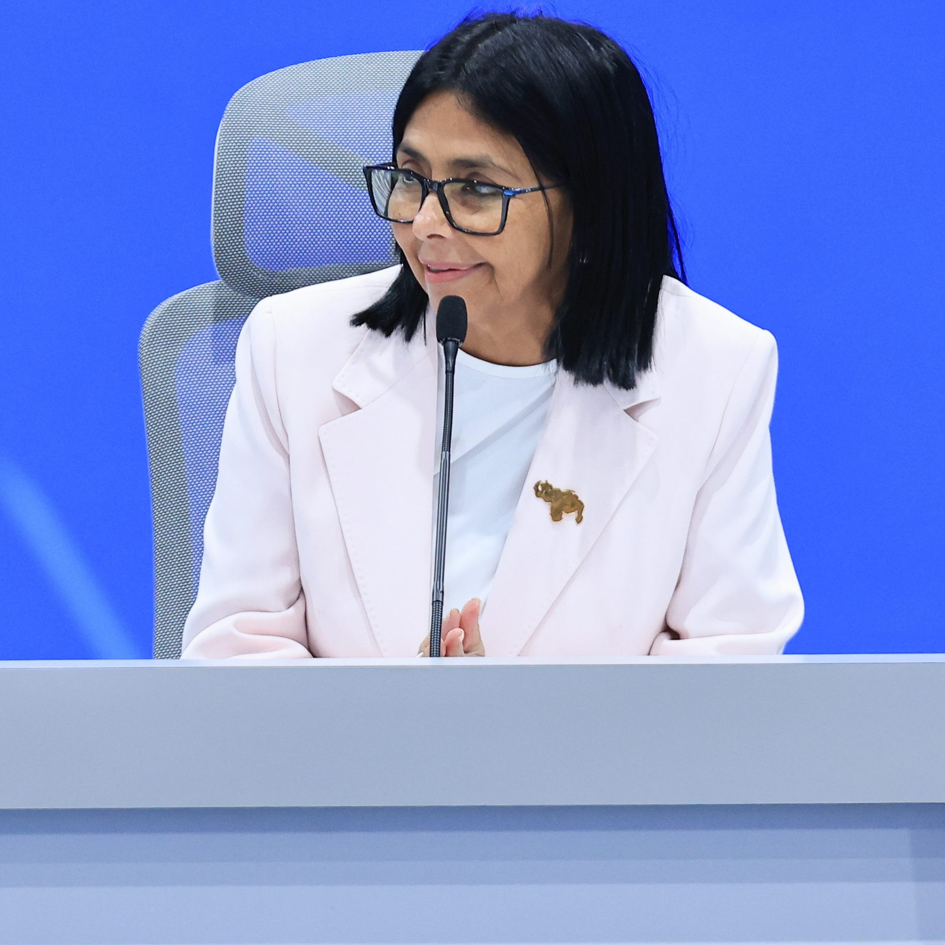Frontera Digital,  Nacionales,  Delcy Rodríguez: "Crecimiento económico permitirá impulsar la reconstrucción de La Guaira"