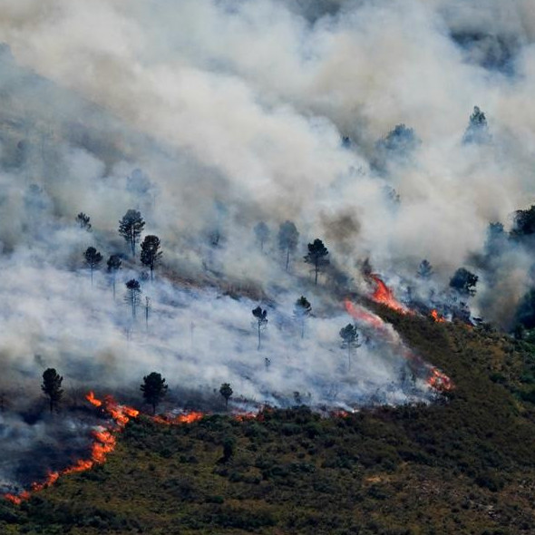 Frontera Digital, Diario Frontera, Evacuaciones masivas por feroces incendios en sur de Europa