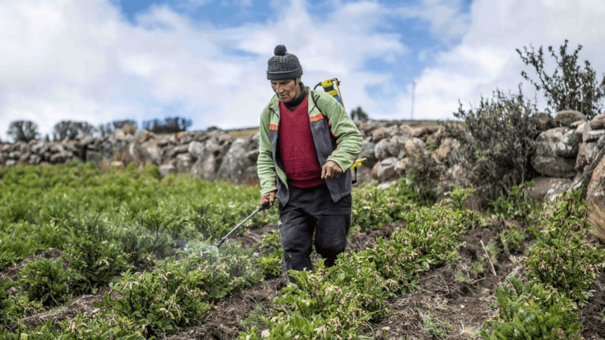 Diario Frontera, Frontera Digital,  Nacionales, ,Advirtieron sobre daños en las cosechas de los Andes ante efectos del ‘‘Superniño’’