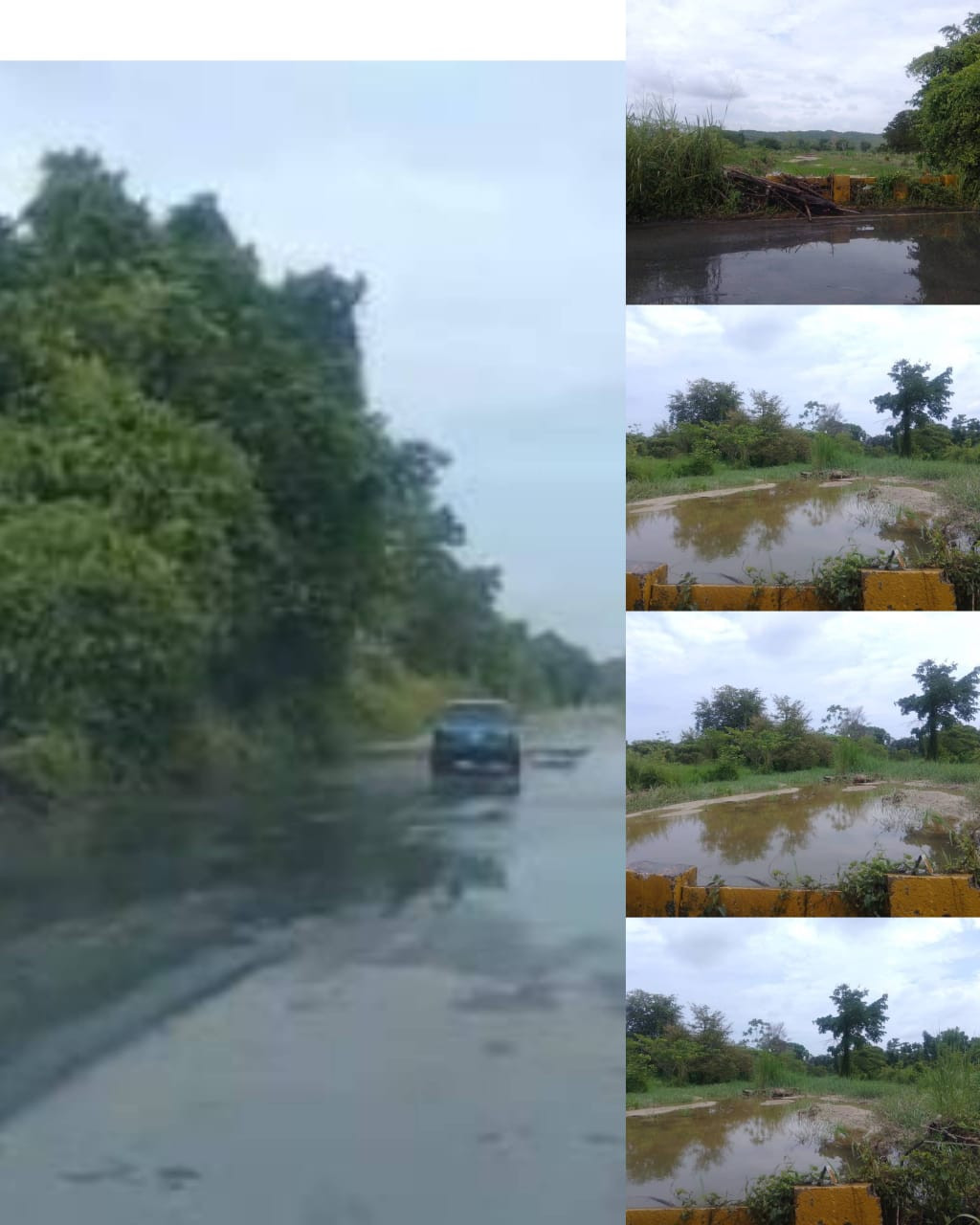 Diario Frontera, Frontera Digital,  El Vigía Panamericana, ,El cauce de esta quebrada está sedimentado en su máxima expresión, y las aguas que convergen en este caño están pasando por encima de la estructura del puente y de la carretera Panamericana, causando daños sobre el asfalto de esta arteria vial naciona,Alcantarilla del kilómetro 8 colapsó la Troncal 001 
en el municipio Alberto Adriani de Mérida