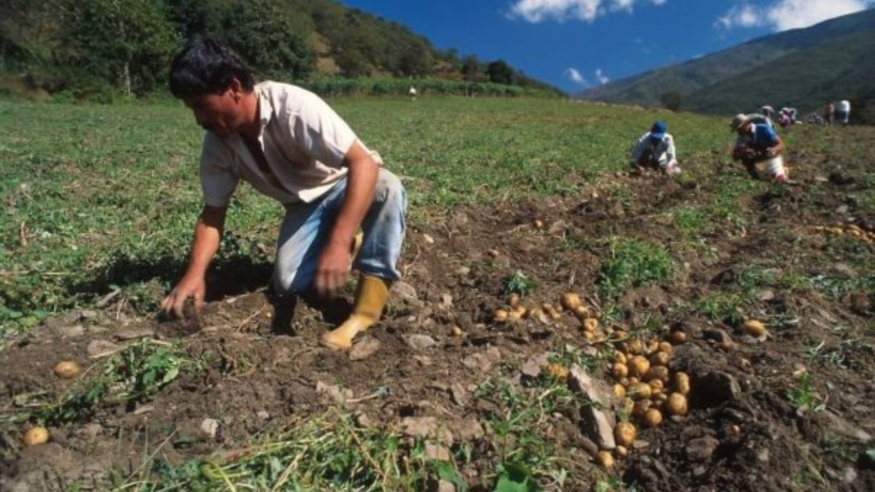 Diario Frontera, Frontera Digital,  Nacionales, ,Asdrúbal Oliveros advierte que "El Niño" podría provocar encarecimiento en mercado venezolano