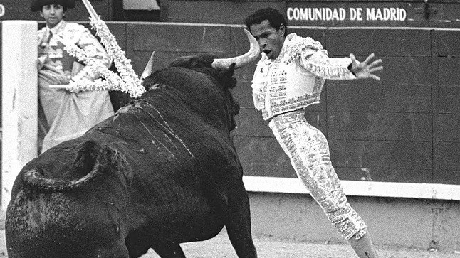 https://fronteradigital.com.ve/“Morenito de Maracay”: «Jamás sufrí racismo en las plazas de toros de España»