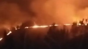 https://fronteradigital.com.ve/Incendio forestal afectó montañas del 
Páramo andino en el municipio MIranda
