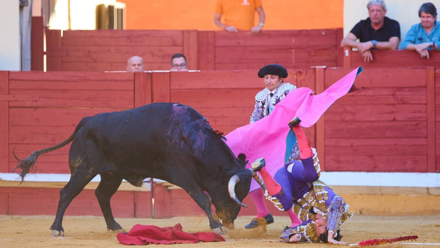 https://fronteradigital.com.ve/Más de 400 abonos vendidos respaldan edición taurina ferial tovareña 2026