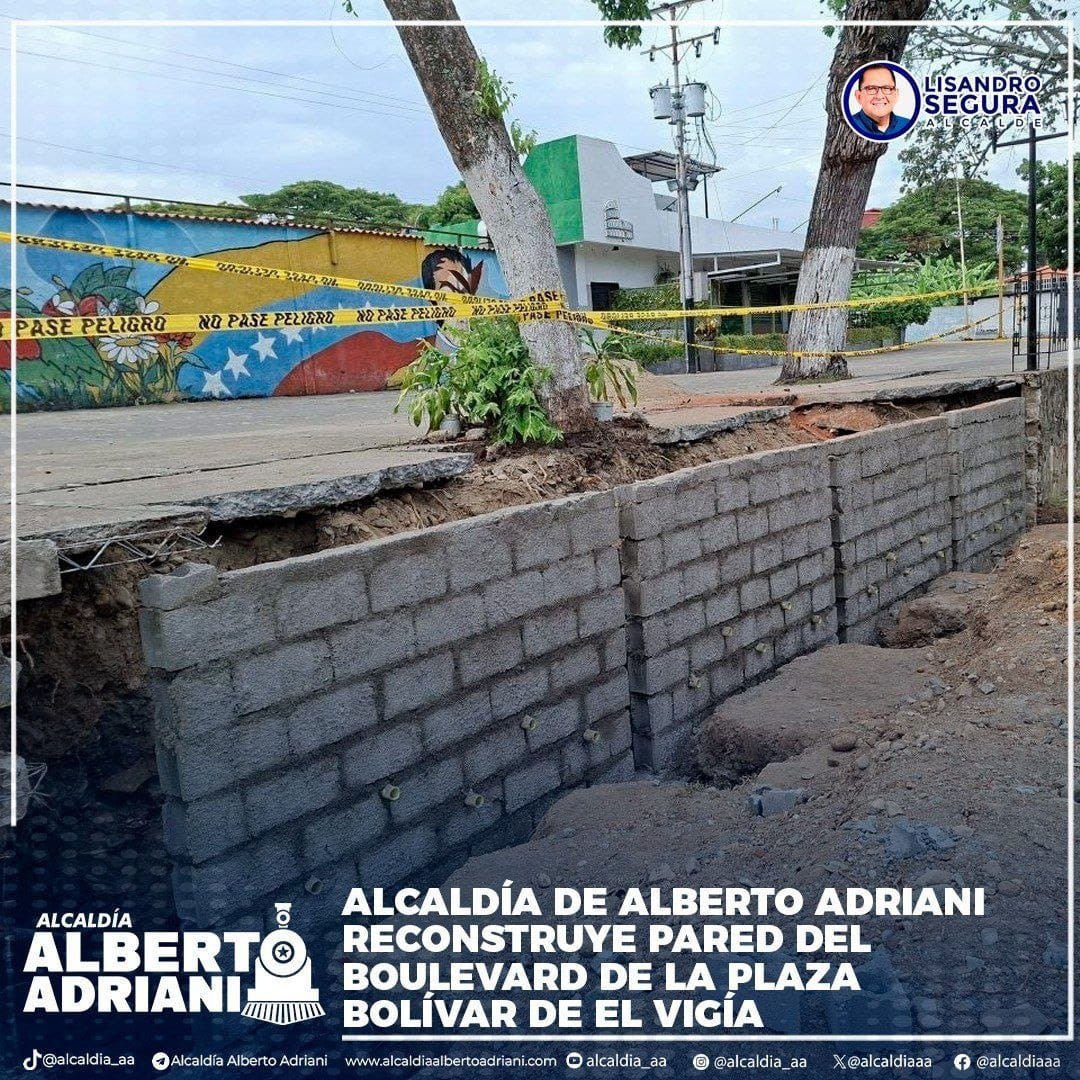 Diario Frontera, Frontera Digital,  El Vigía Panamericana, 