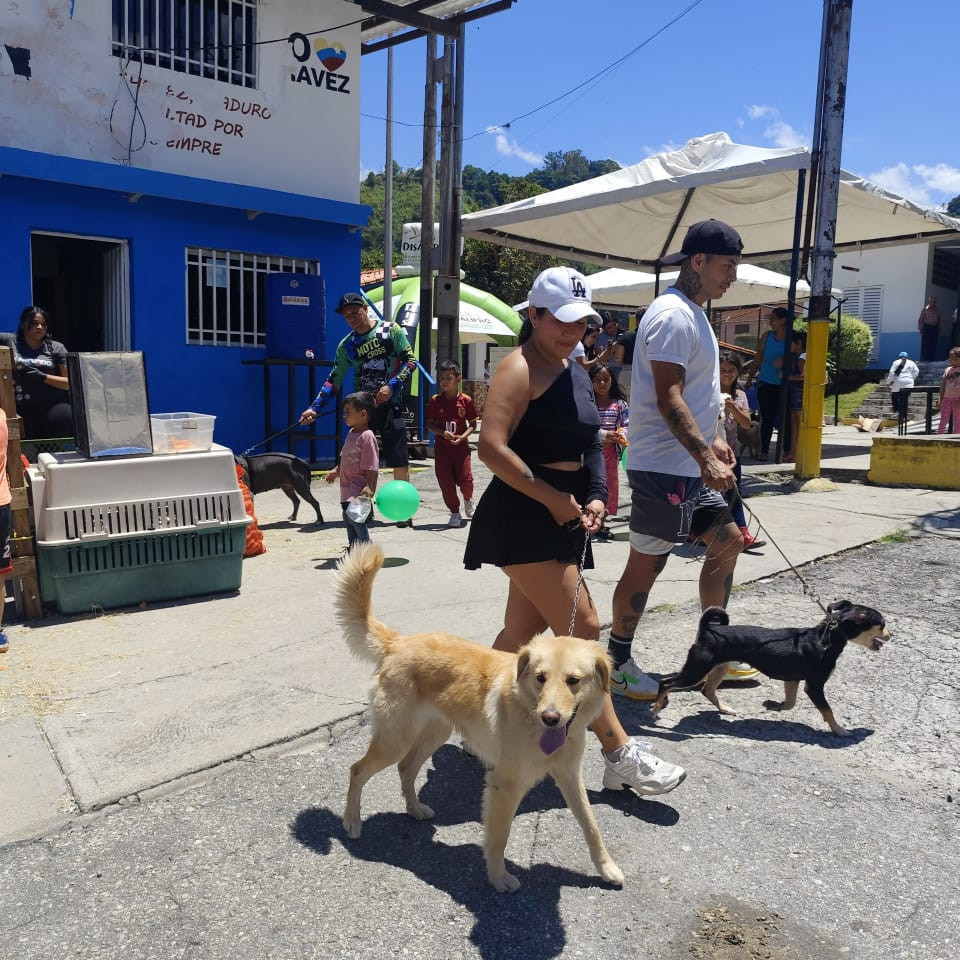 Frontera Digital,  Regionales,  Lanzamiento oficial del «Plan Rabia Cero» benefició a más de 100 animales de compañía y comunitarios en Mérida