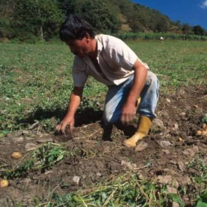 Frontera Digital,  Nacionales,  Asdrúbal Oliveros advierte que "El Niño" podría provocar encarecimiento en mercado venezolano