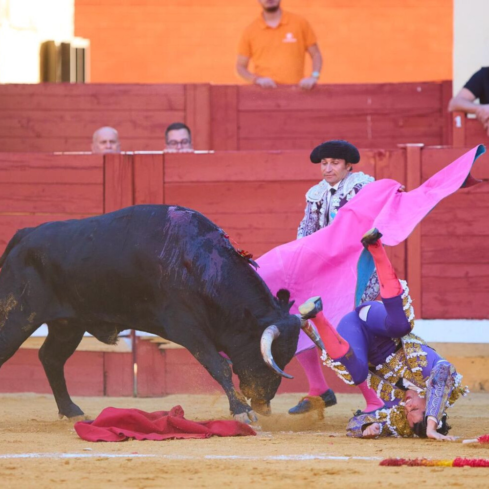 Frontera Digital, Diario Frontera, Más de 400 abonos vendidos respaldan edición taurina ferial tovareña 2026