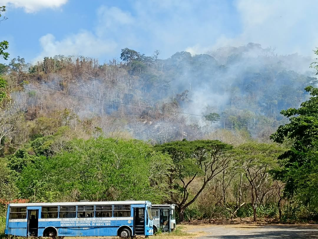 Diario Frontera, Frontera Digital,  Nacionales, ,La quema ha causado un gran impacto ecológico en los espacios ulandinos y comunidades adyacentes de la parroquia La Concepción, en el municipio Pampanito del estado Trujillo.,Núcleo Rafael Rangel de Trujillo | Bosque Universitario herido: 
fuego alcanza el 60% de la vegetación montañosa