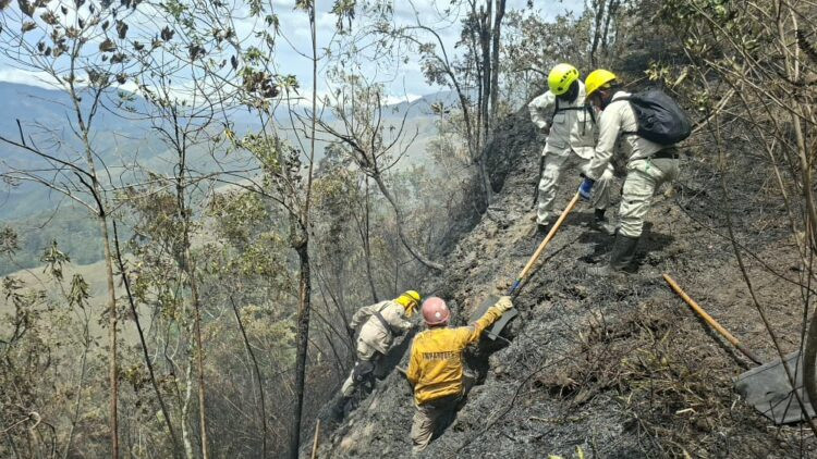 Diario Frontera, Frontera Digital,  Regionales, ,18 incendios se han registrado en el estado Mérida durante septiembre. Fotos Elisabel Camacho,Dieciocho incendios se han registrado en el estado Mérida durante septiembre