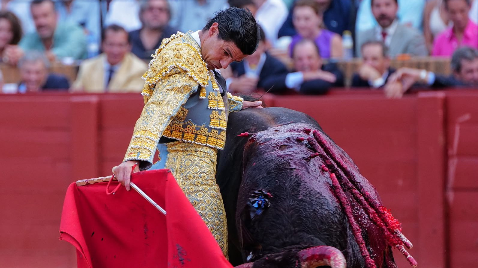 https://fronteradigital.com.ve/Pablo Aguado por la Puerta del Príncipe lo más destacado del cierre de abono sevillano