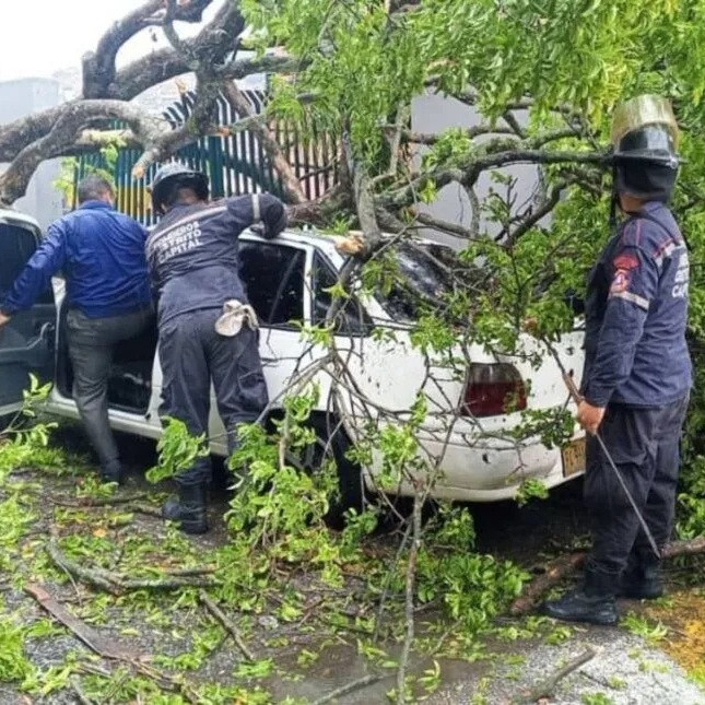 Frontera Digital,  Nacionales,  Reportaron anegaciones y árboles caídos por las lluvias en la Gran Caracas