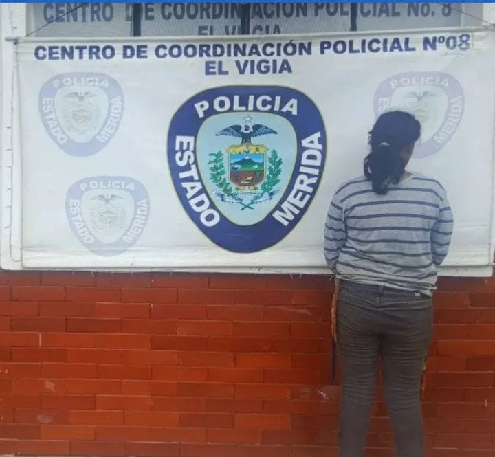 Diario Frontera, Frontera Digital,  Sucesos, ,Policía detuvo a una joven por el delito de lesiones graves en El Vigía
