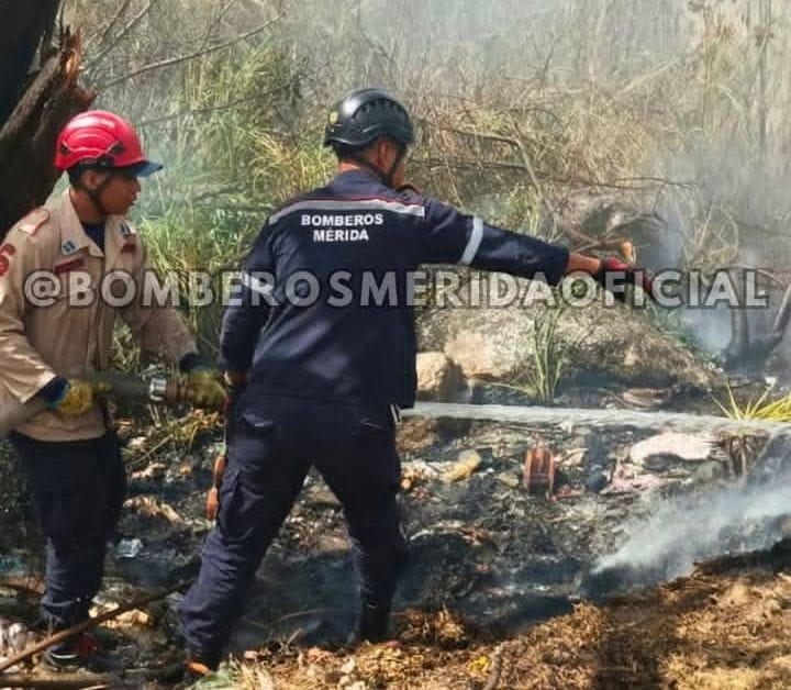 Diario Frontera, Frontera Digital,  Regionales, ,Comisión del Cuerpo de Bomberos sofocaron incendio de vegetación en Ejido