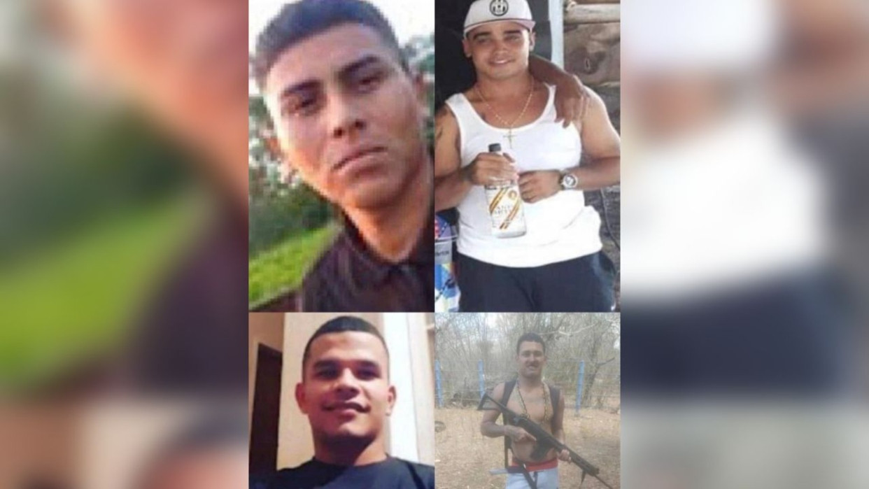 Diario Frontera, Frontera Digital,  Nacionales, ,Desarticulada célula remanente del Tren del Llano en Guárico: Cuatro delincuentes neutralizados