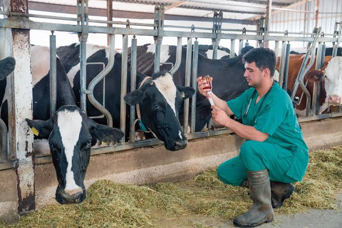 Diario Frontera, Frontera Digital,  Regionales, ,UPTMKR lanza PNF en Medicina Veterinaria