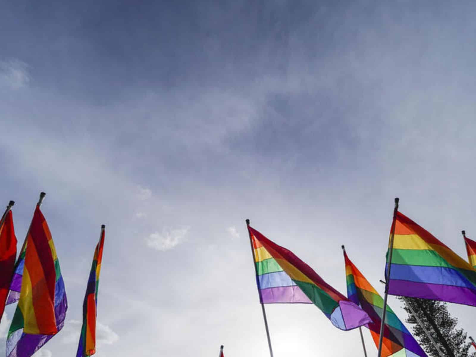 Diario Frontera, Frontera Digital,  Nacionales, ,Observatorio Venezolano de Violencias LGBTIQ+ alertó sobre falta de vías legales para proteger a víctimas de agresiones intragénero