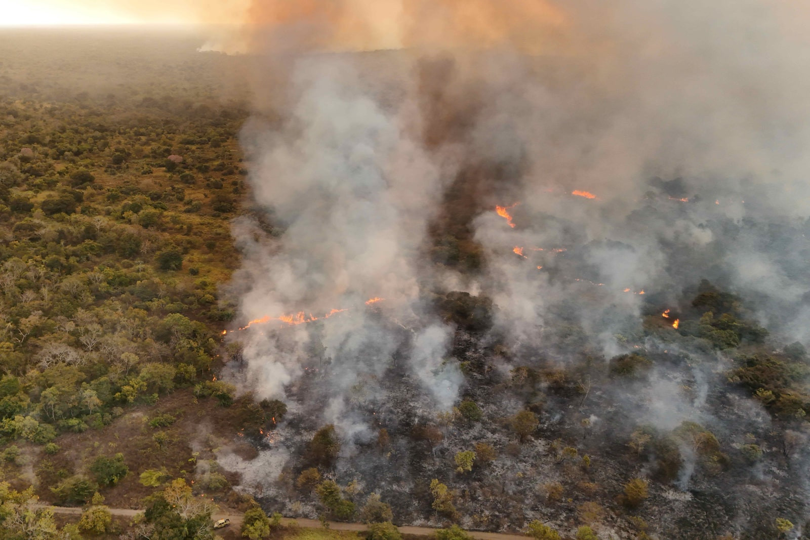 Diario Frontera, Frontera Digital,  Nacionales, ,Inameh advirtió sobre un alto riesgo de incendios forestales en algunos estados de Venezuela