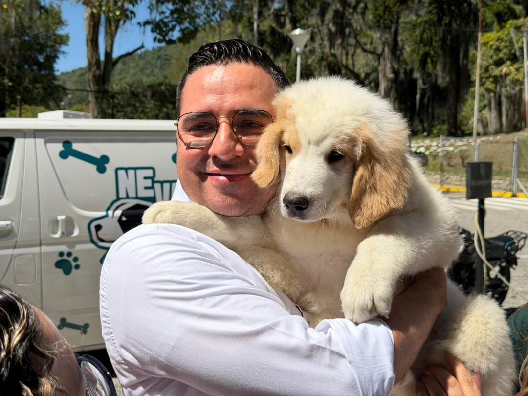 Diario Frontera, Frontera Digital,  Regionales, ,Mérida se ubica en el tercer lugar nacional de esterilización animal